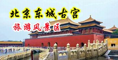 大屁股淫妇中国北京-东城古宫旅游风景区